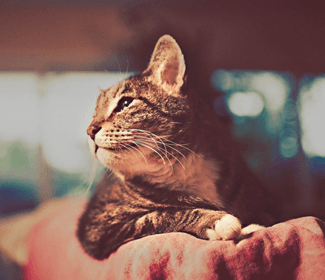 學(xué)習(xí)CAD！每天五個(gè)小技巧！這個(gè)系列趕快收藏！