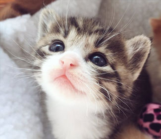 低空無人機(jī)測繪：高效、精確、廣泛應(yīng)用的新興技術(shù)